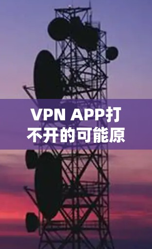 VPN APP打不开的可能原因及解决方法