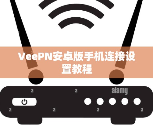 VeePN安卓版手机连接设置教程