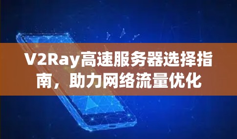 V2Ray高速服务器选择指南,助力网络流量优化