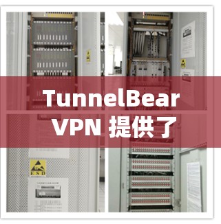 TunnelBear VPN 提供了多平台的服务，包括 Windows 和 macOS。以下是使用 TunnelBear VPN 在电脑上的步骤