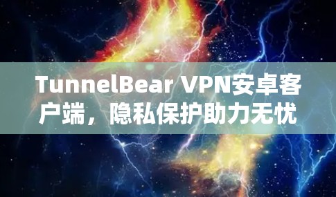 TunnelBear VPN安卓客户端，隐私保护助力无忧网络