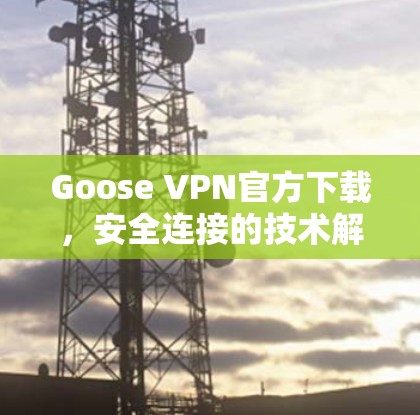 Goose VPN官方下载，安全连接的技术解析
