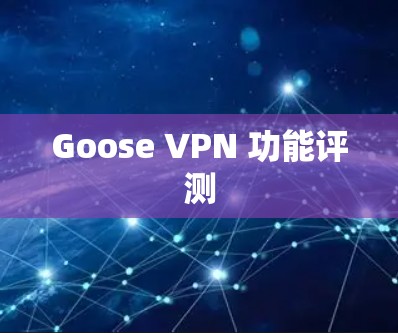 Goose VPN 功能评测