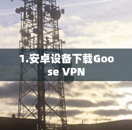 1.安卓设备下载Goose VPN