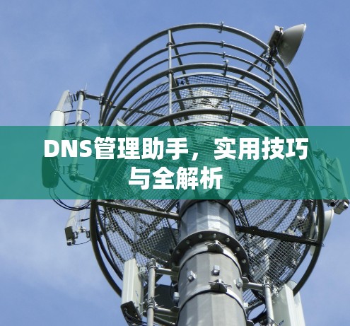 DNS管理助手，实用技巧与全解析