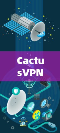 CactusVPN客户端，隐私保护与高效通信的完美融合