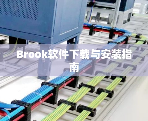 Brook软件下载与安装指南 Brook软件下载与安装指南