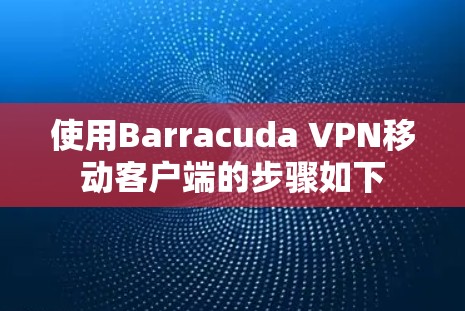使用Barracuda VPN移动客户端的步骤如下