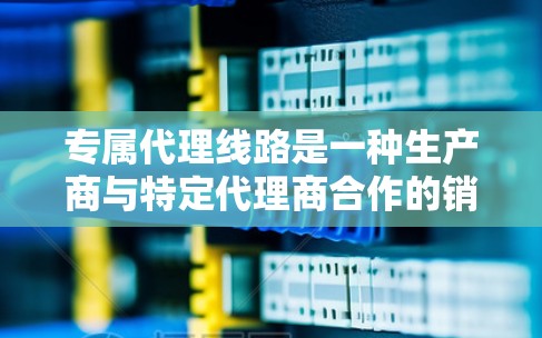 专属代理线路是一种生产商与特定代理商合作的销售策略，旨在针对特定市场或客户群体，提供精准的产品和服务。以下是对专属代理线路的详细分析