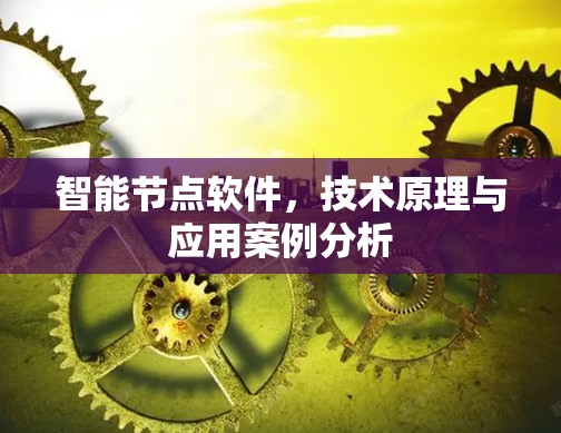 智能节点软件，技术原理与应用案例分析