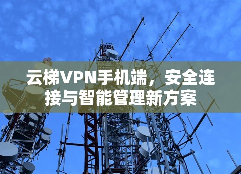 云梯VPN手机端，安全连接与智能管理新方案