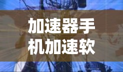 加速器手机加速软件旨在提升移动设备的性能，尤其在处理速度、图形处理和能效方面。以下是对这些软件的详细分析