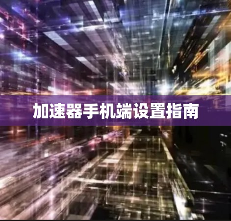 加速器手机端设置指南