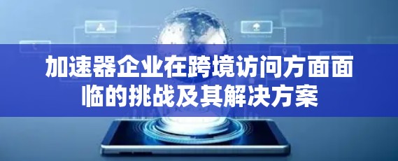 加速器企业在跨境访问方面面临的挑战及其解决方案