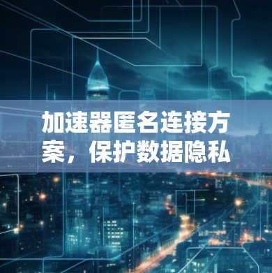 加速器匿名连接方案，保护数据隐私与安全