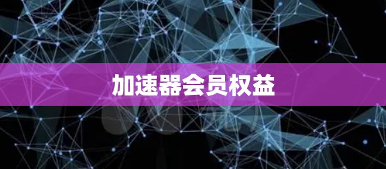 加速器会员权益