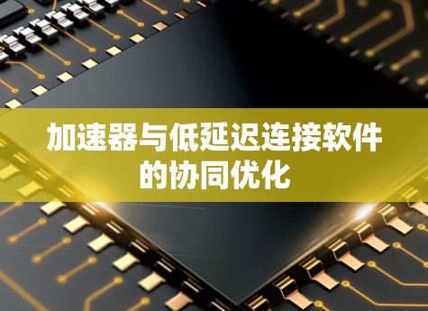 加速器与低延迟连接软件的协同优化 加速器与低延迟连接软件的协同优化