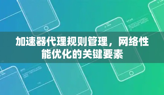 加速器代理规则管理,网络性能优化的关键要素 加速器代理规则管理,网络性能优化的关键要素