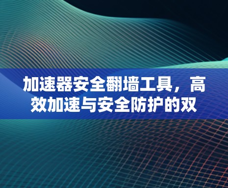 加速器安全翻墙工具，高效加速与安全防护的双重保障