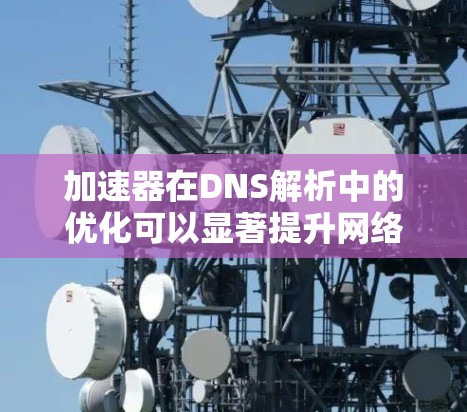 加速器在DNS解析中的优化可以显著提升网络性能，减少延迟并提高吞吐量。以下是加速器在DNS解析优化中的关键点